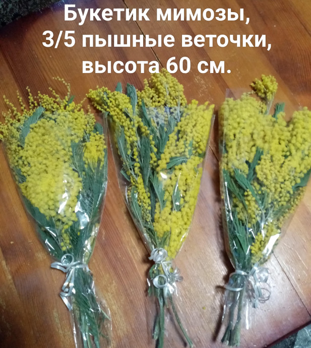 Букеты из мимозы 0