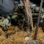 Диорама &laquo;На подступах к селу&raquo;