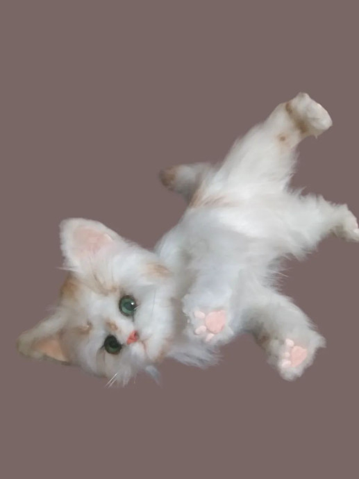 Котенок. 1