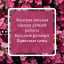 VSПЫШКА
